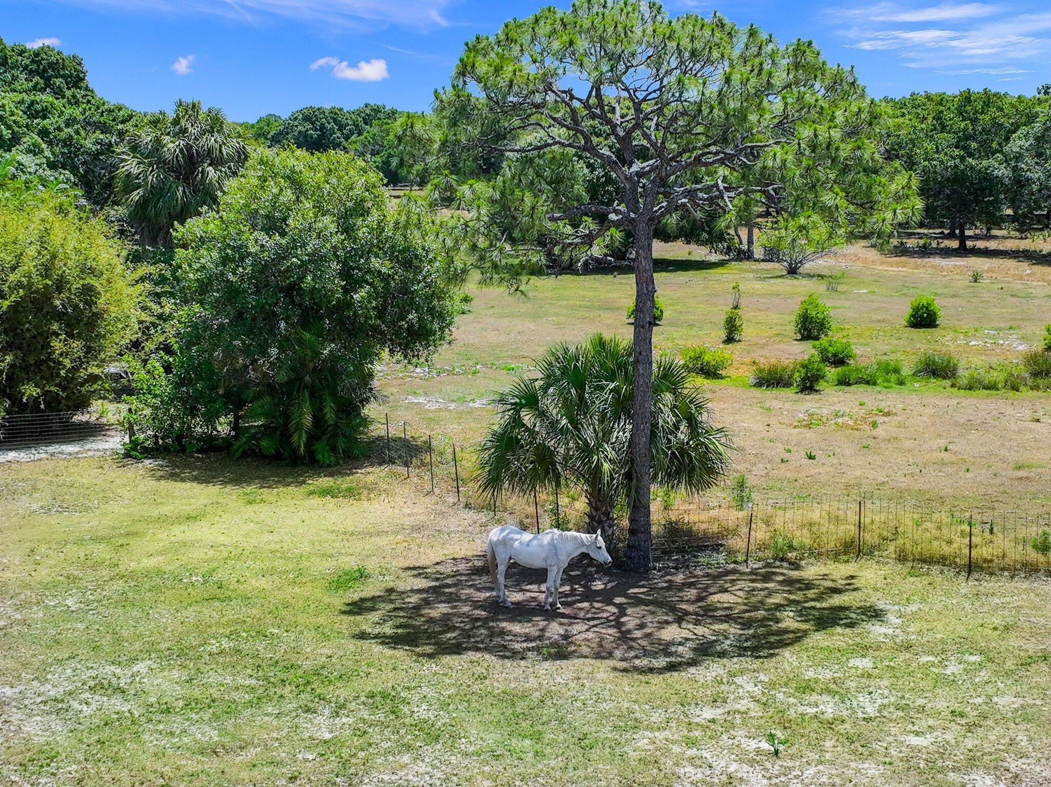 11861 Palomino Drive, Port St. Lucie