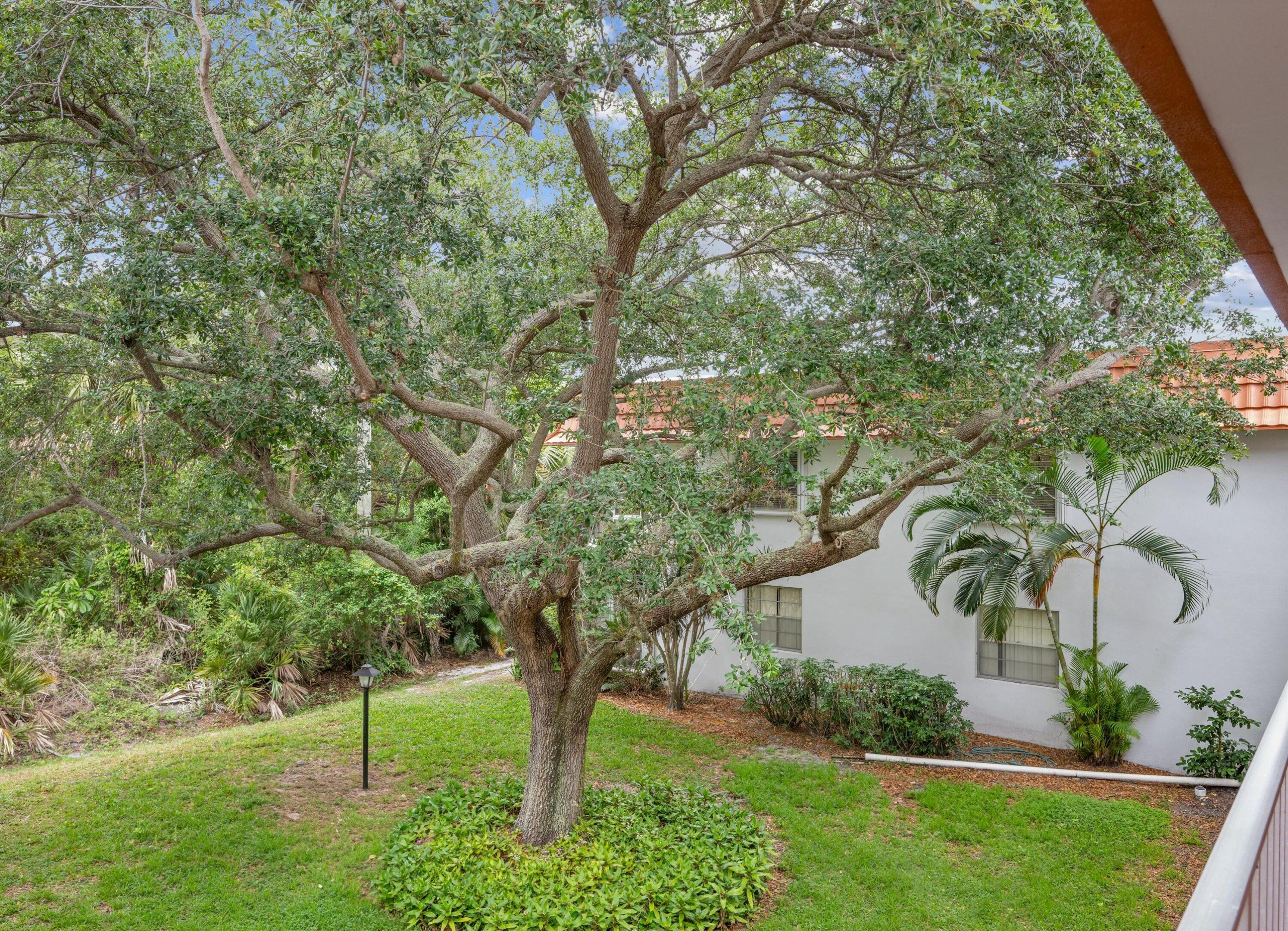 2600 SE Ocean Boulevard V12