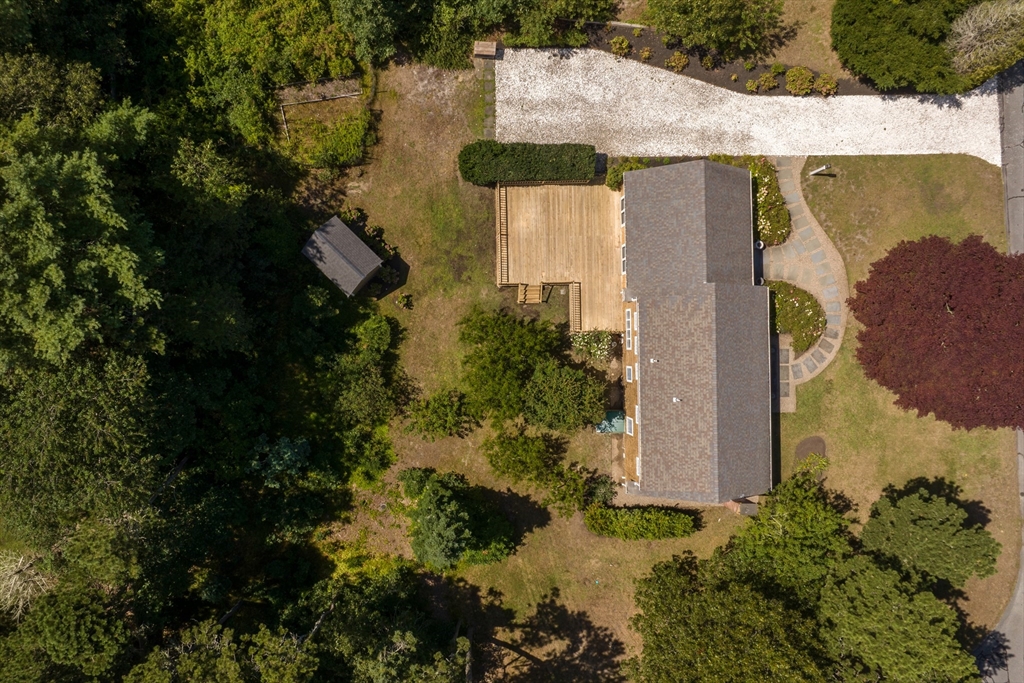 62 Duck Marsh