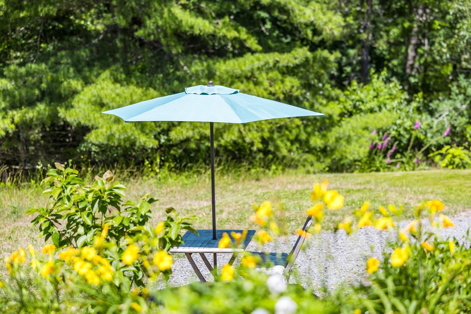 410 Blueberry Pond Dr