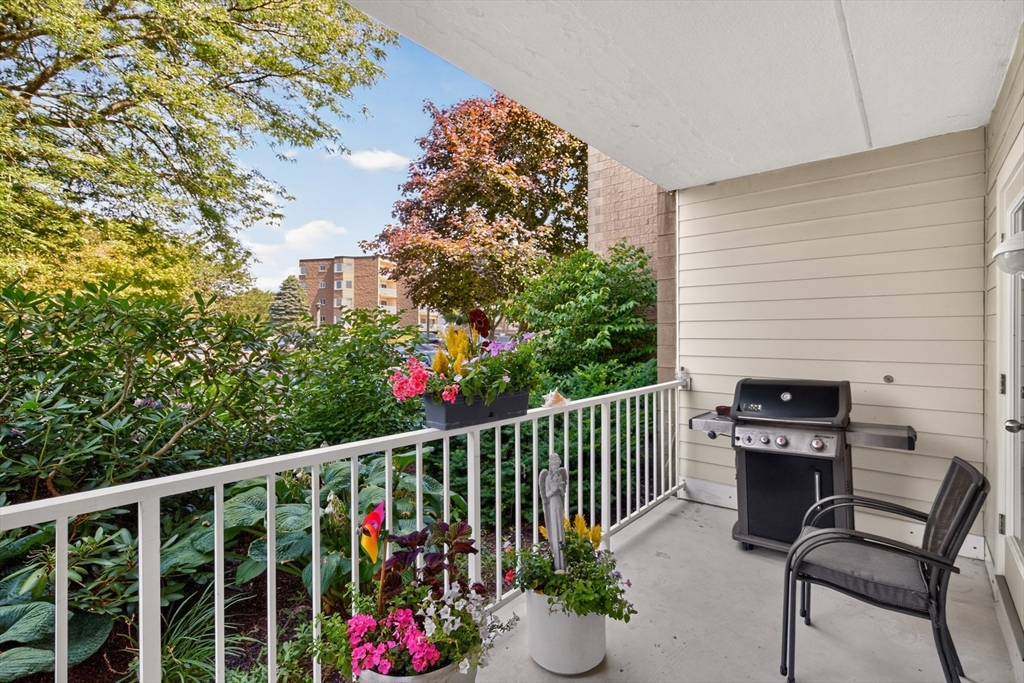 1 Belmont Rd APT 315