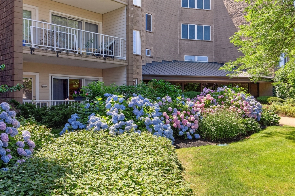 1 Belmont Rd APT 315