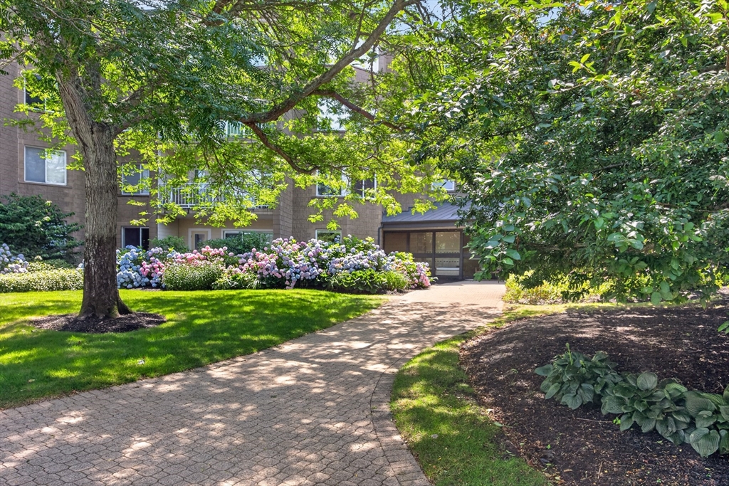 1 Belmont Rd APT 315