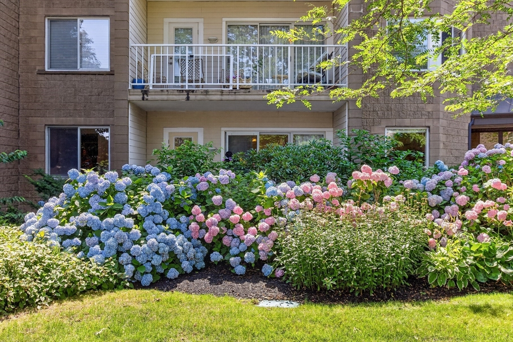 1 Belmont Rd APT 315
