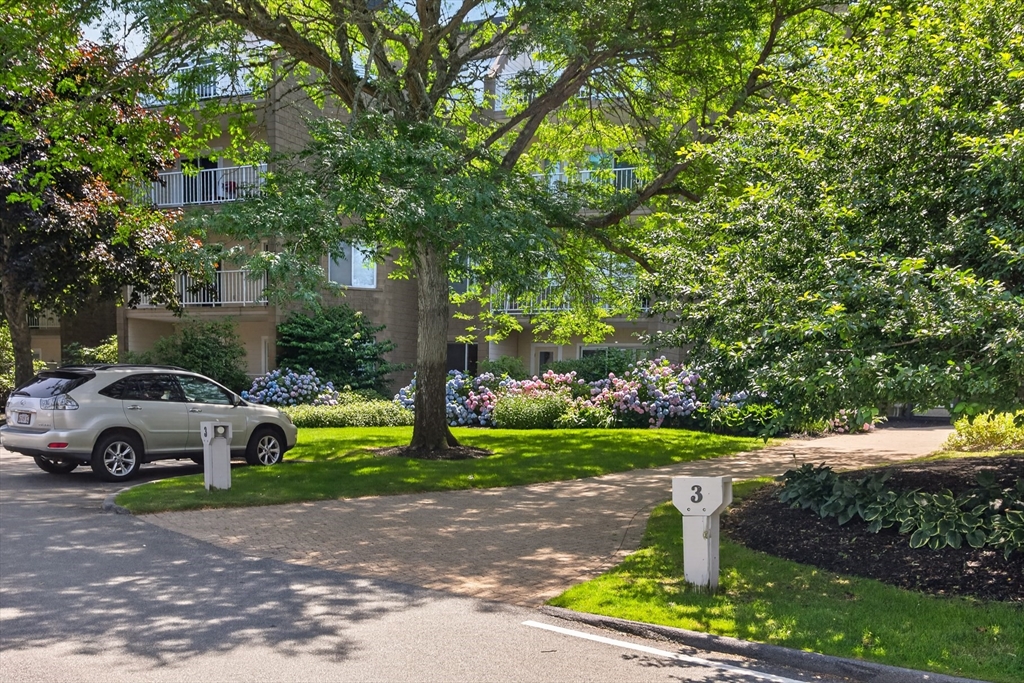 1 Belmont Rd APT 315
