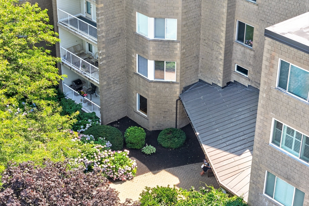 1 Belmont Rd APT 315