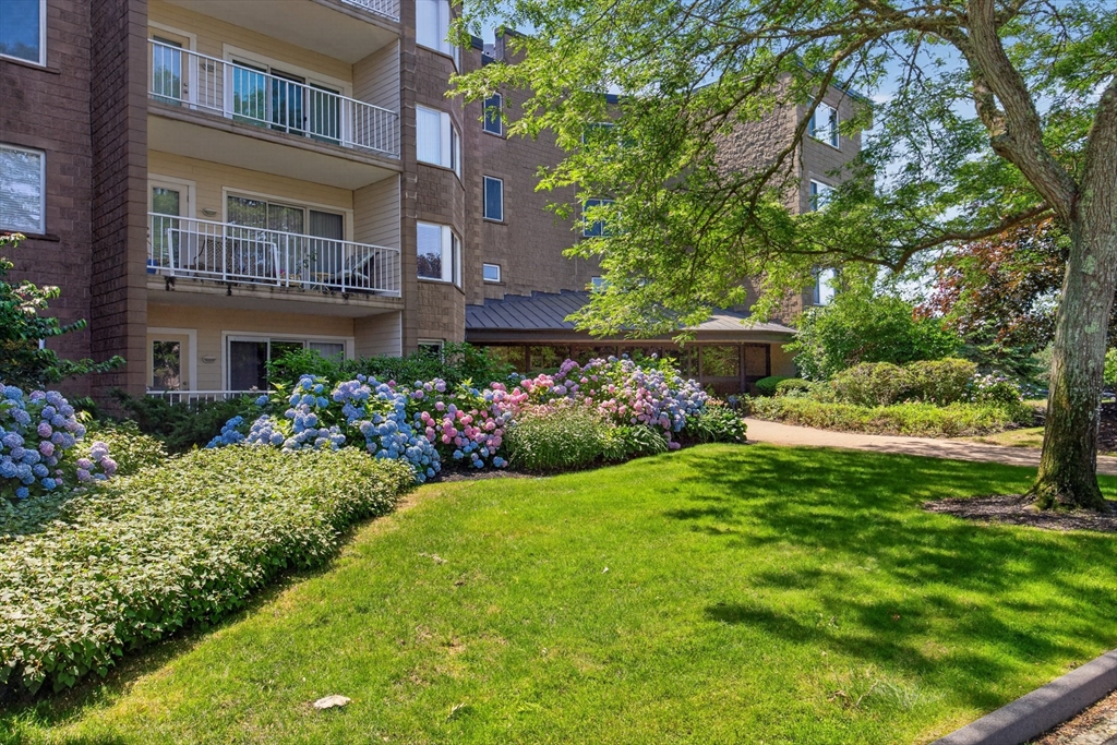 1 Belmont Rd APT 315