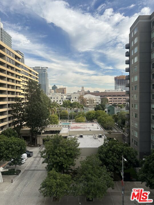 901 S Flower St Unit: 704