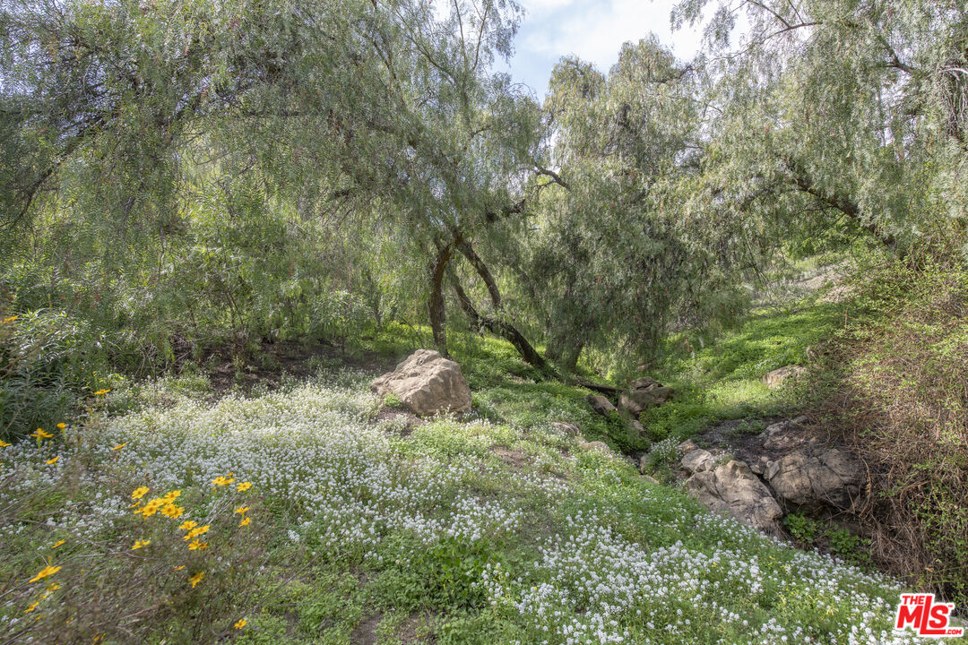 2655 Topanga Skyline Dr