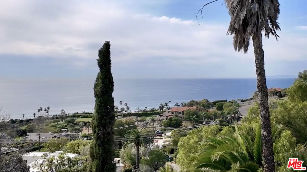 Coastal neighborhood and ocean view framed by palm trees and a tall cypress.