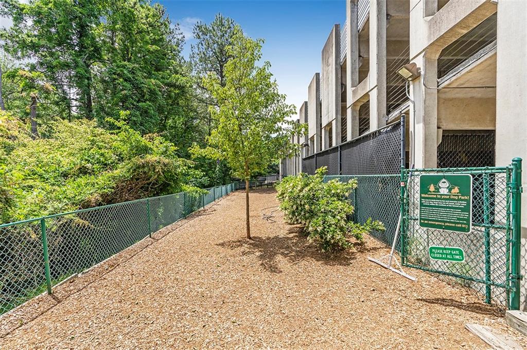 3777 Peachtree Road NE Unit 333