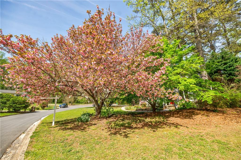 4183 Oak Crest Drive