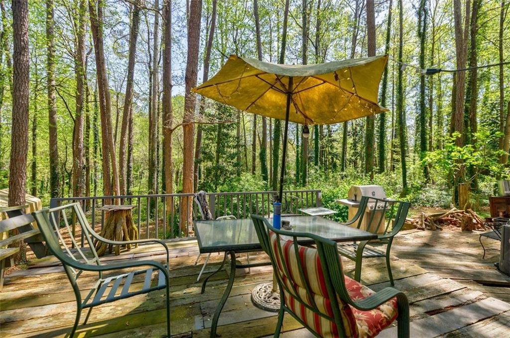 2680 IRENE Drive
