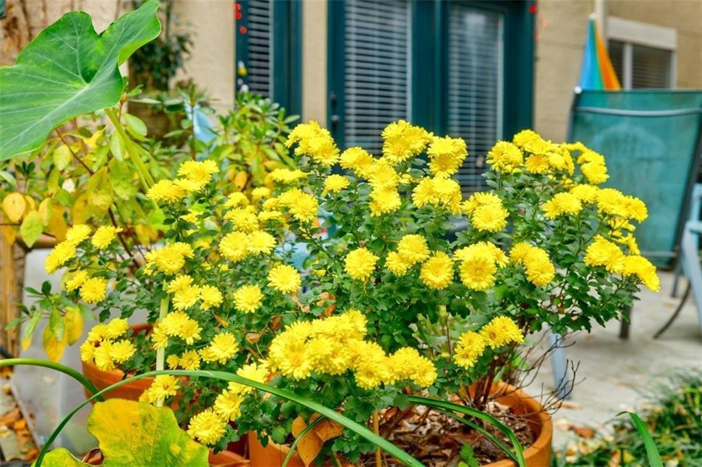 955 JUNIPER Street NE Unit 4027