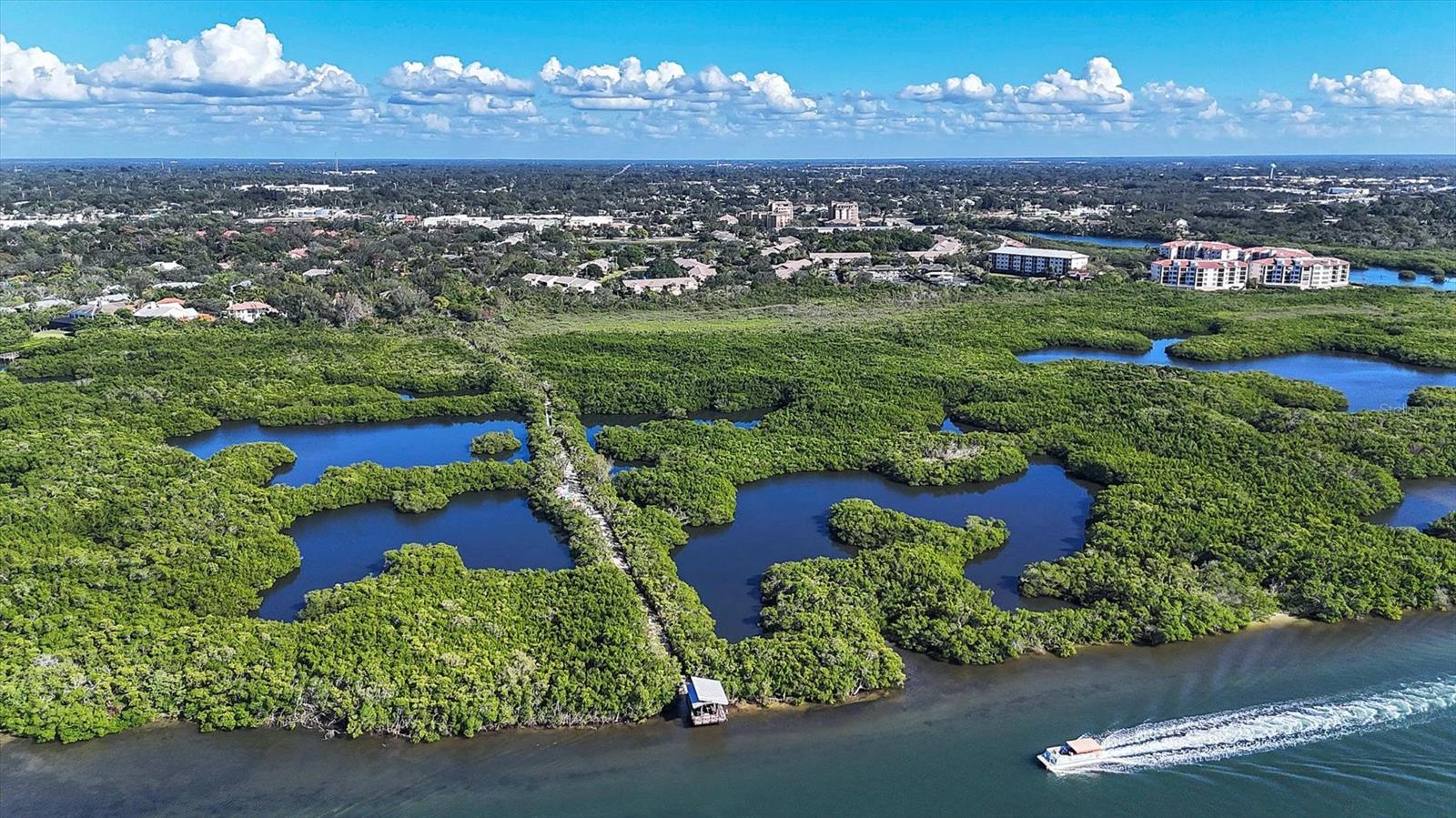 1676 STARLING DR #202