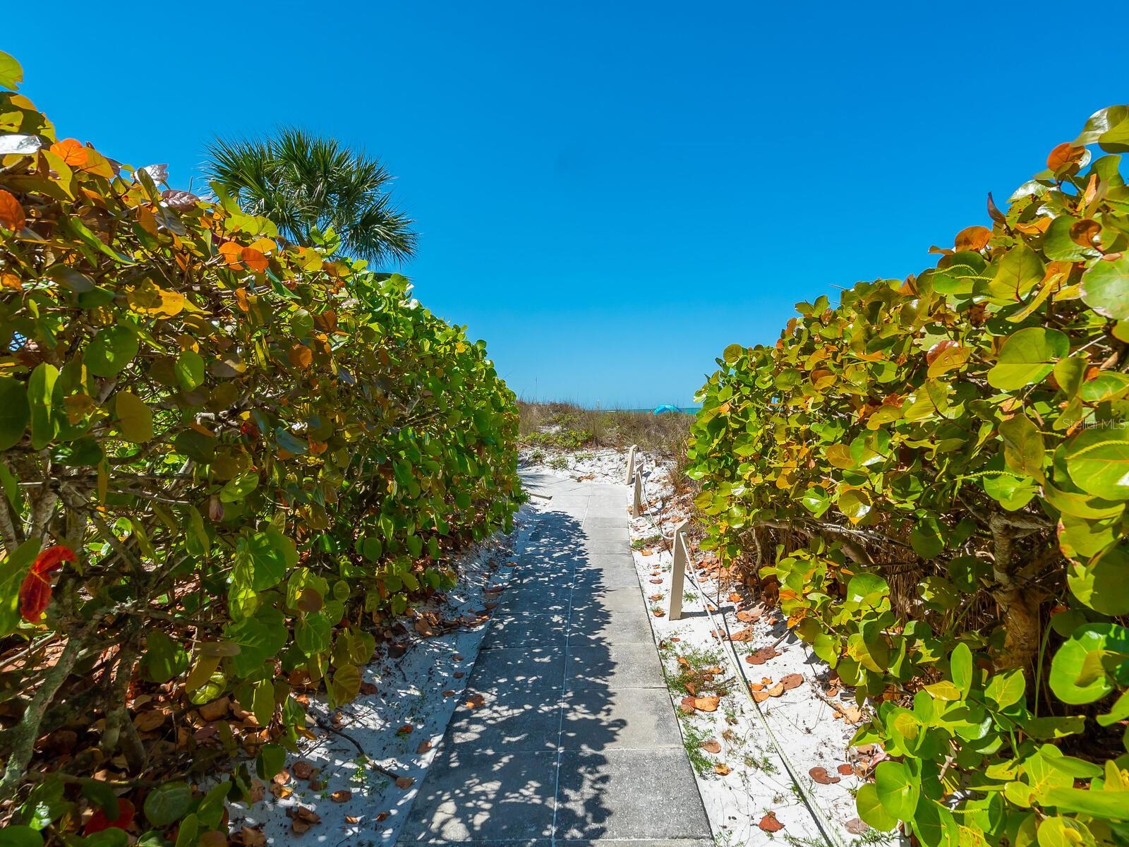 6281 MIDNIGHT PASS RD #6281