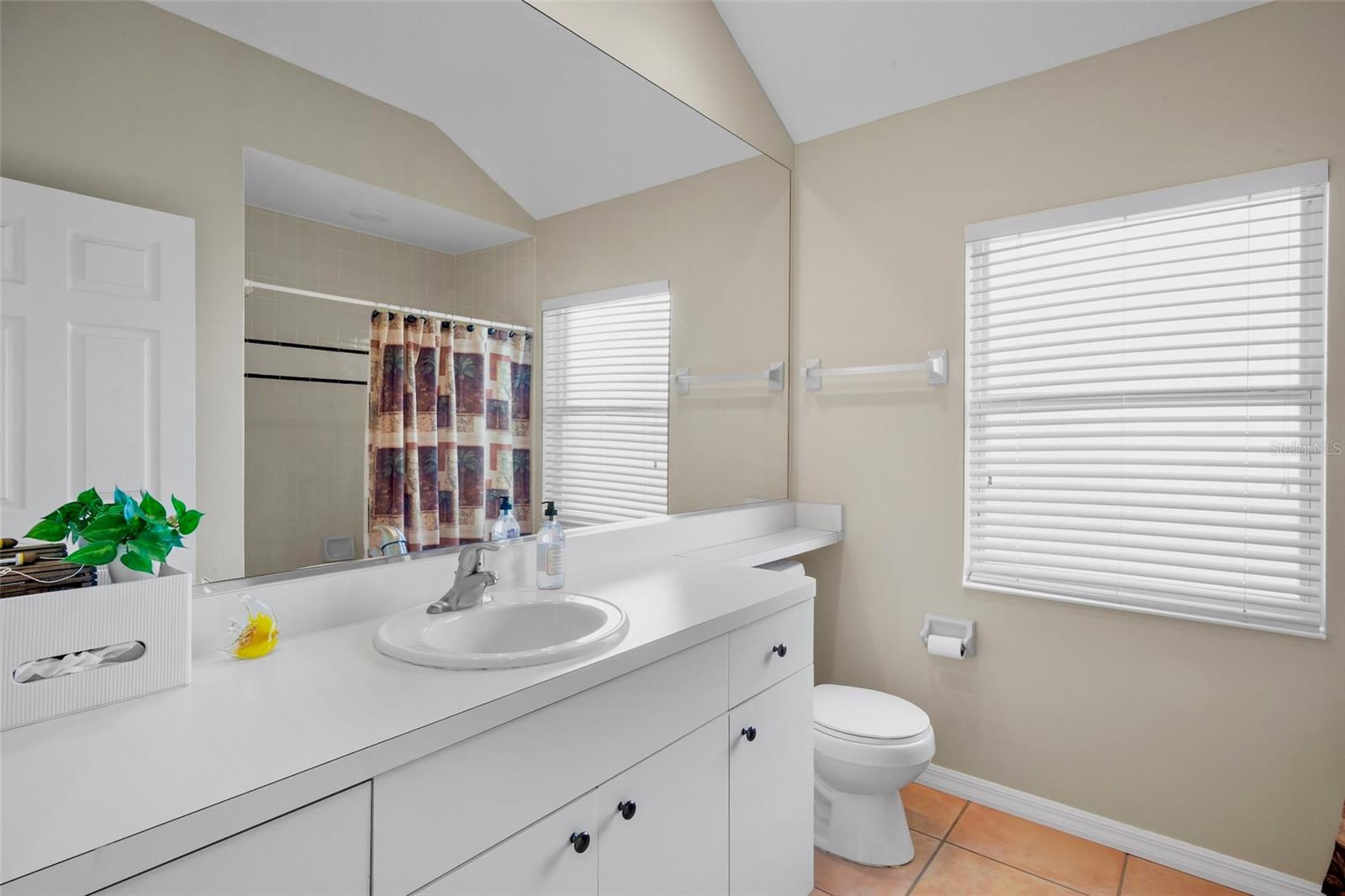 7993 MEADOW RUSH LOOP