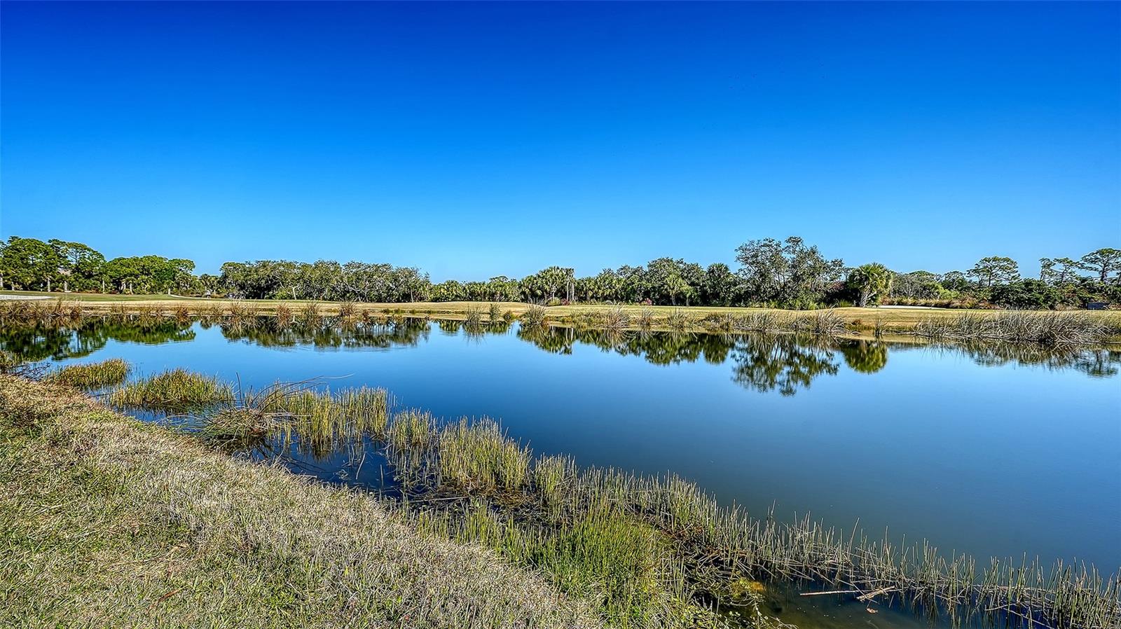 9447 FOREST HILLS CIR