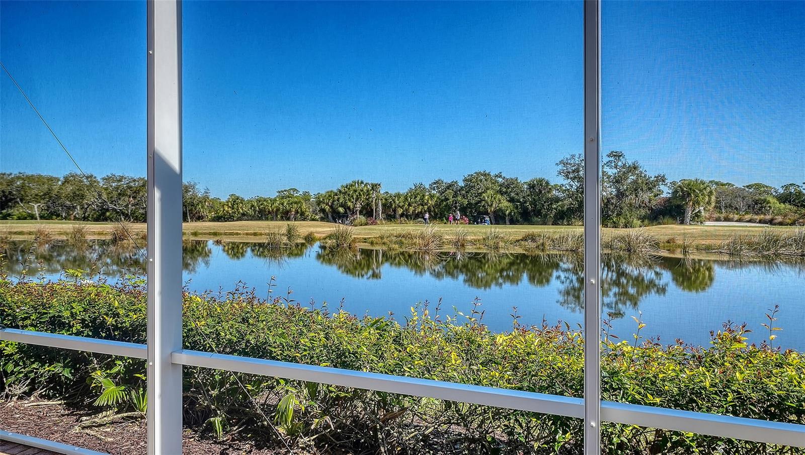 9447 FOREST HILLS CIR