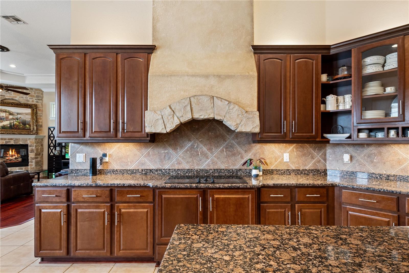 10742 BOCA POINTE DR