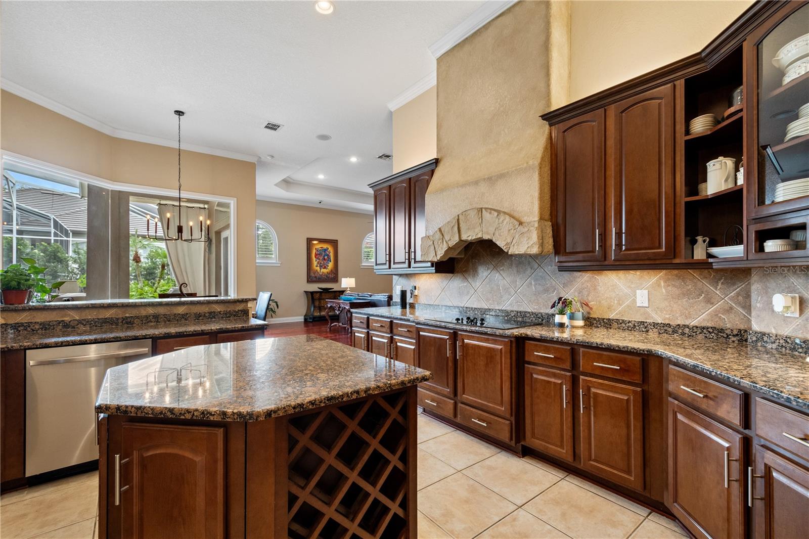 10742 BOCA POINTE DR