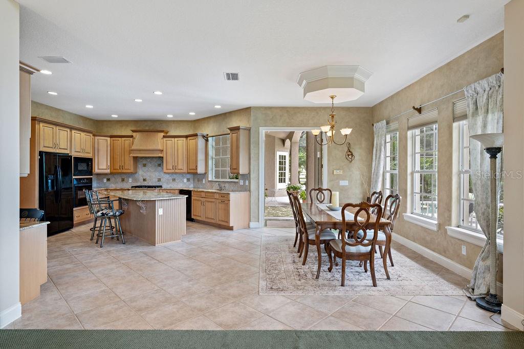 9138 PINNACLE CIR