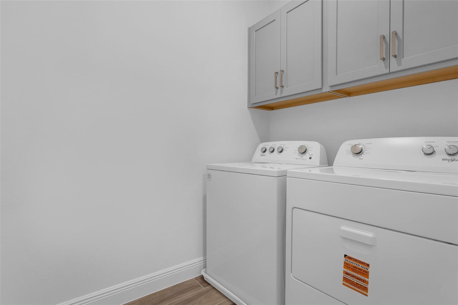 16962 HAMLIN OASIS LOOP