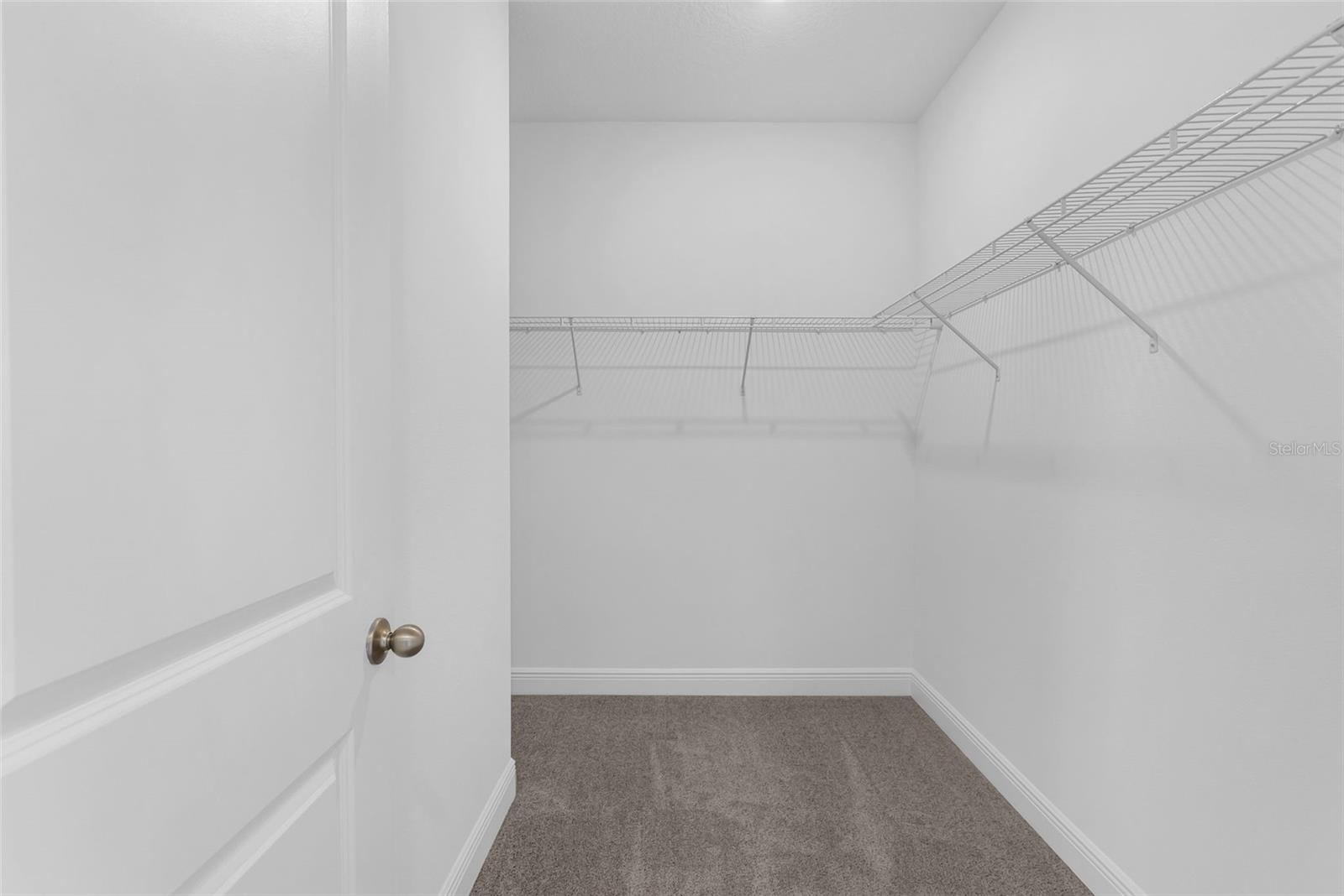 16962 HAMLIN OASIS LOOP