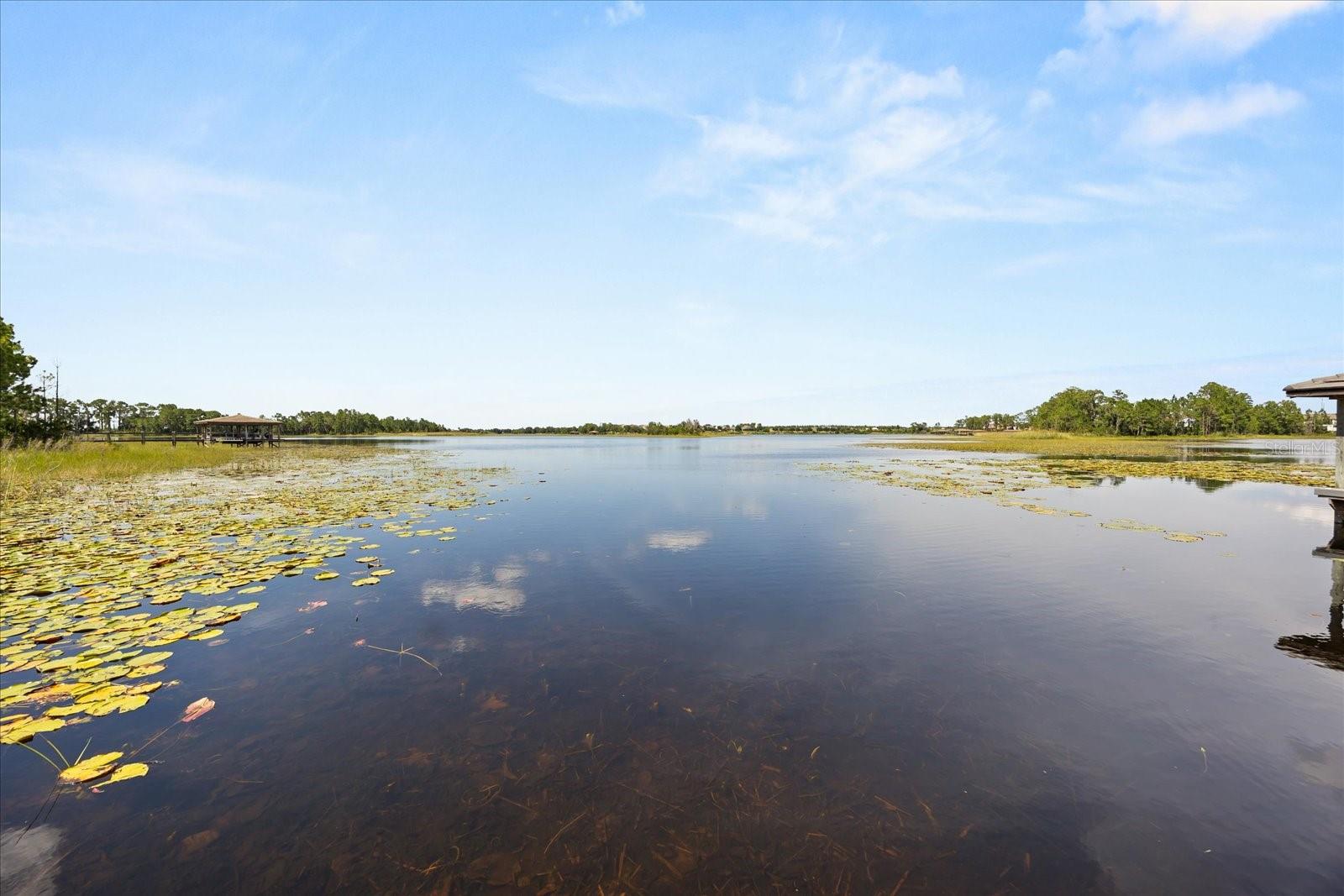 10291 ATWATER BAY DR