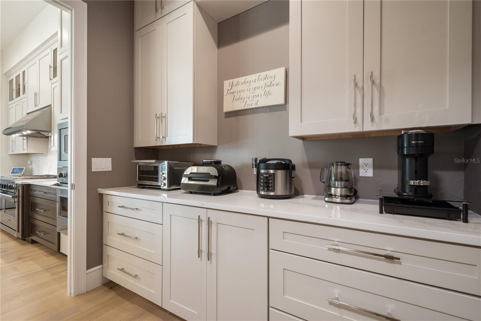 15681 PANTHER LAKE DR