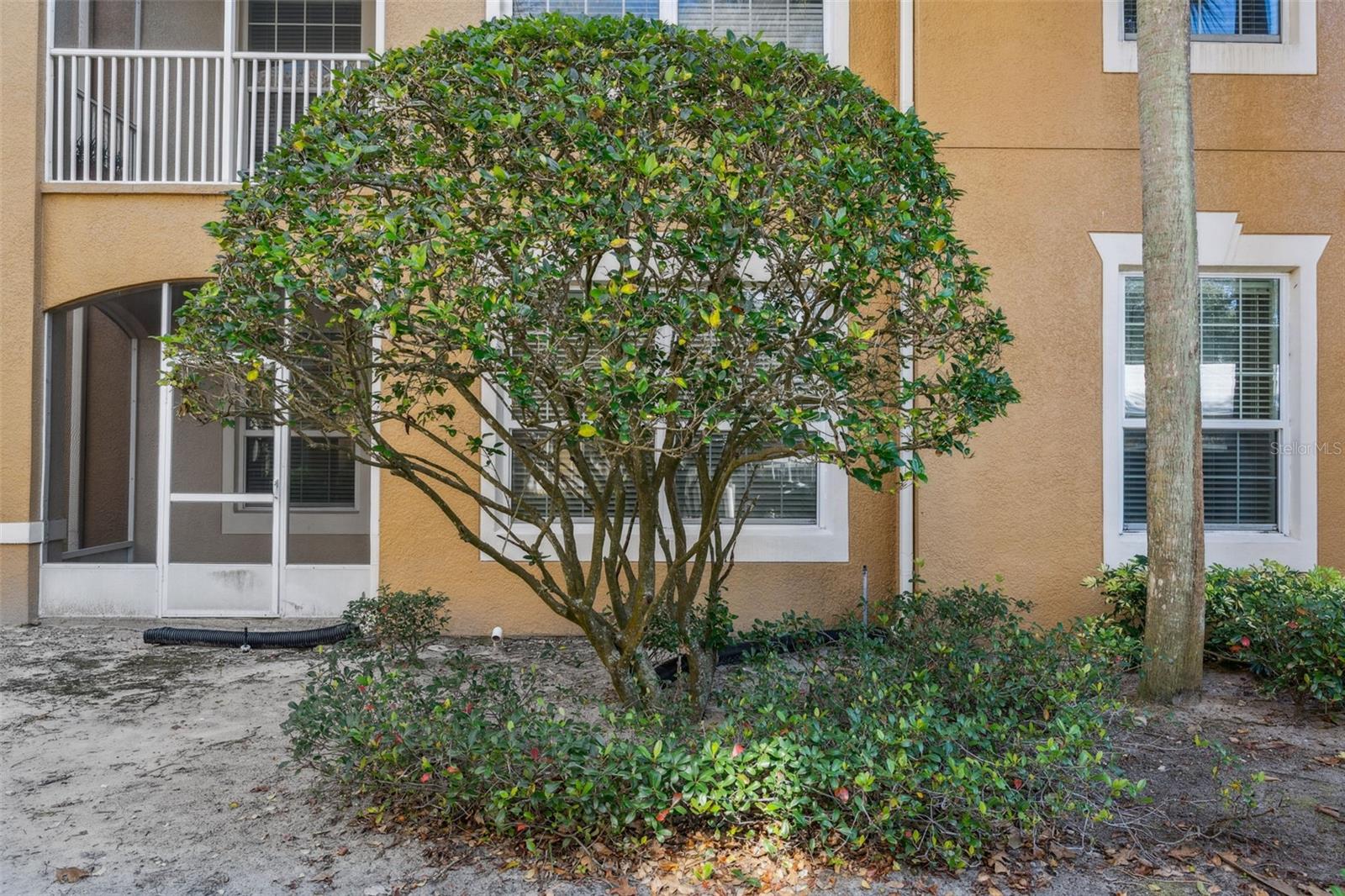 2484 SAN TECLA ST #105