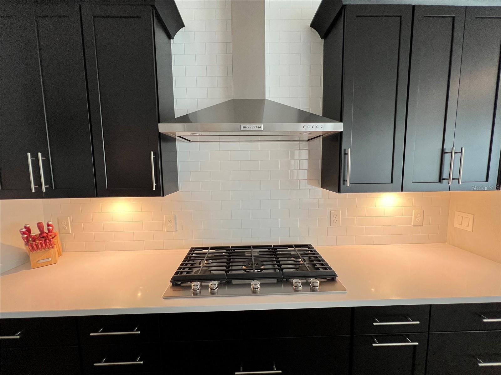 16740 TURTLE HATCH DR