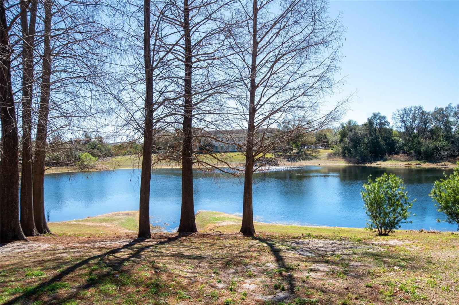 6384 RALEIGH ST #2205