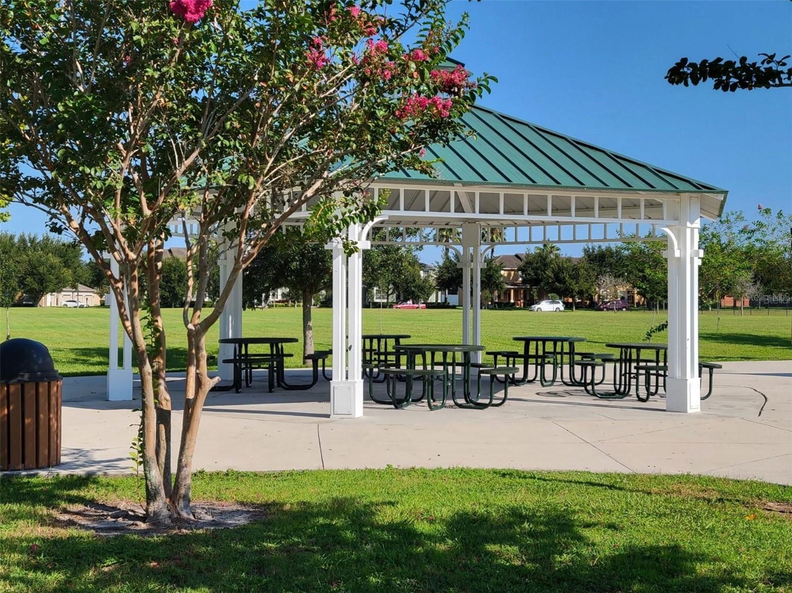 14680 BLACK CHERRY TRL