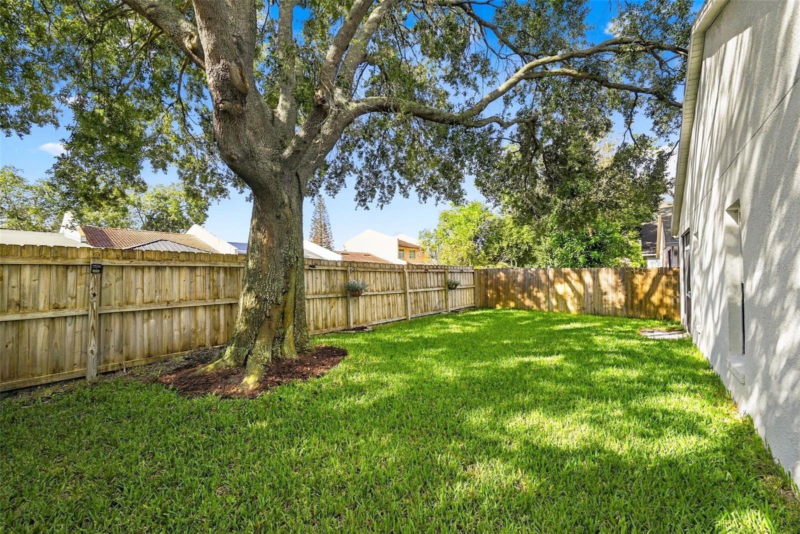 2354 BLUE SAPPHIRE CIR