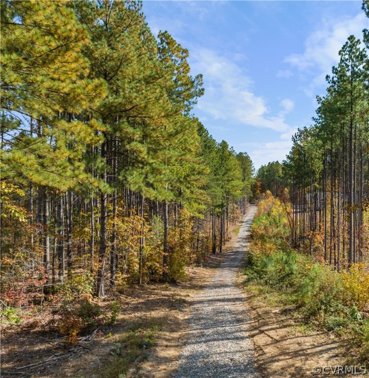 32 Forest Ridge Ln