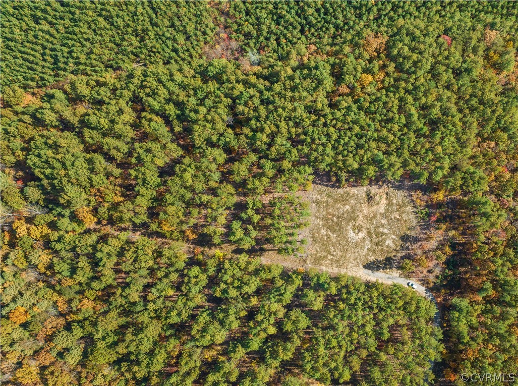 32 Forest Ridge Ln