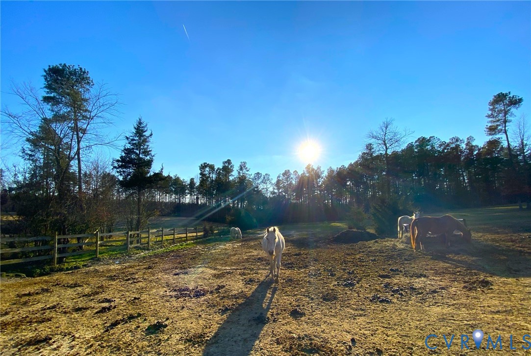 5 Acres Benchmark Trl