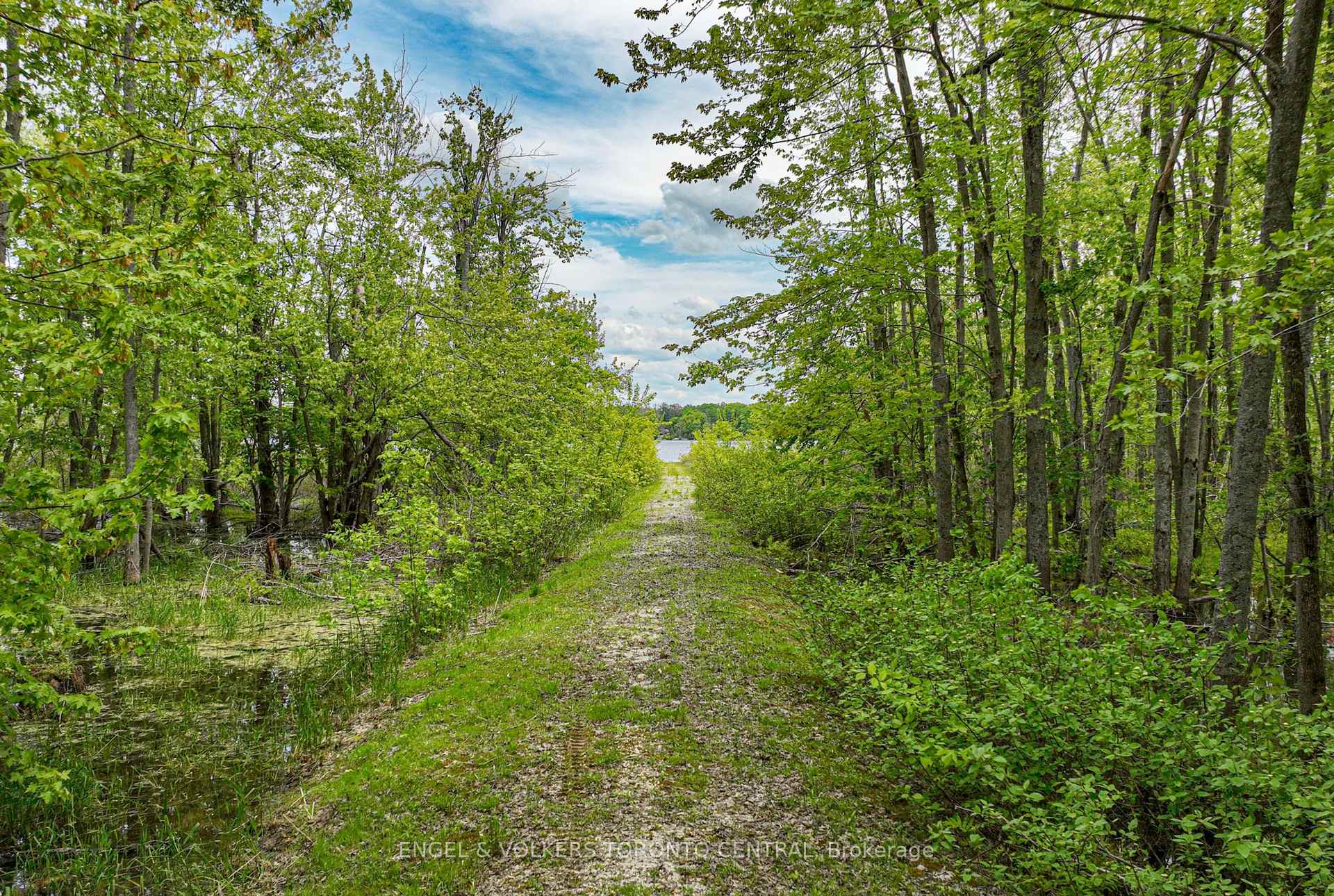 3516 Kirkfield Road