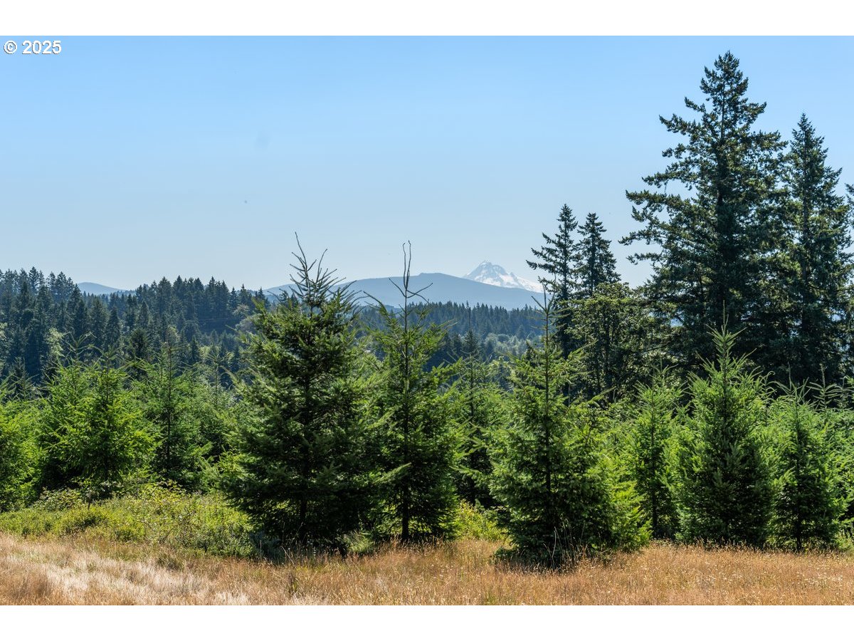 0 NE 277th AVE