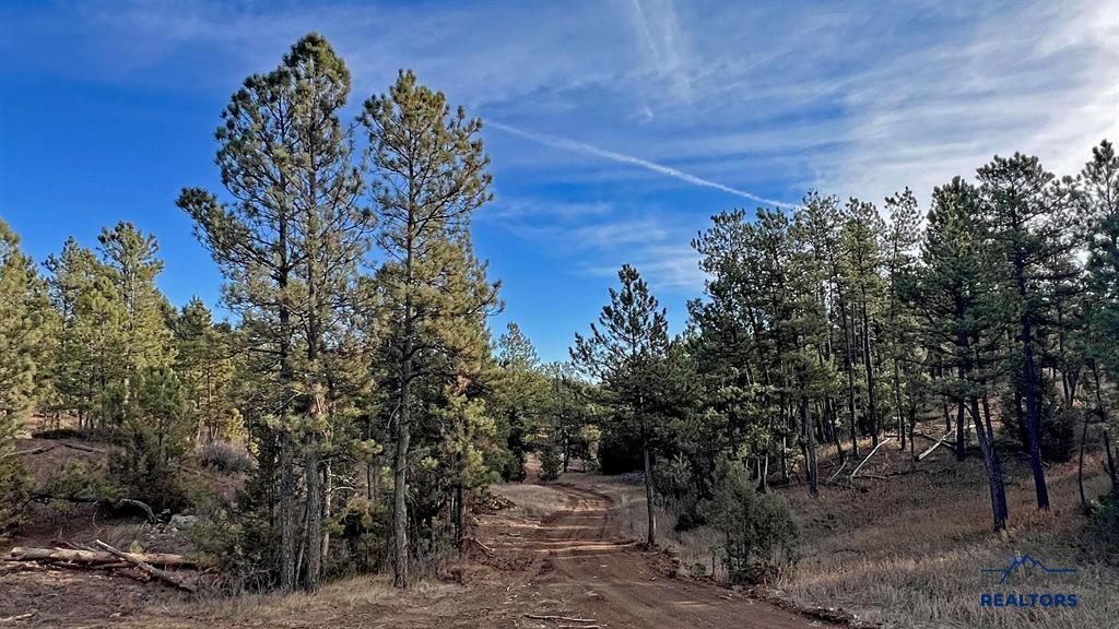 Tract 12R NORTHVIEW DR