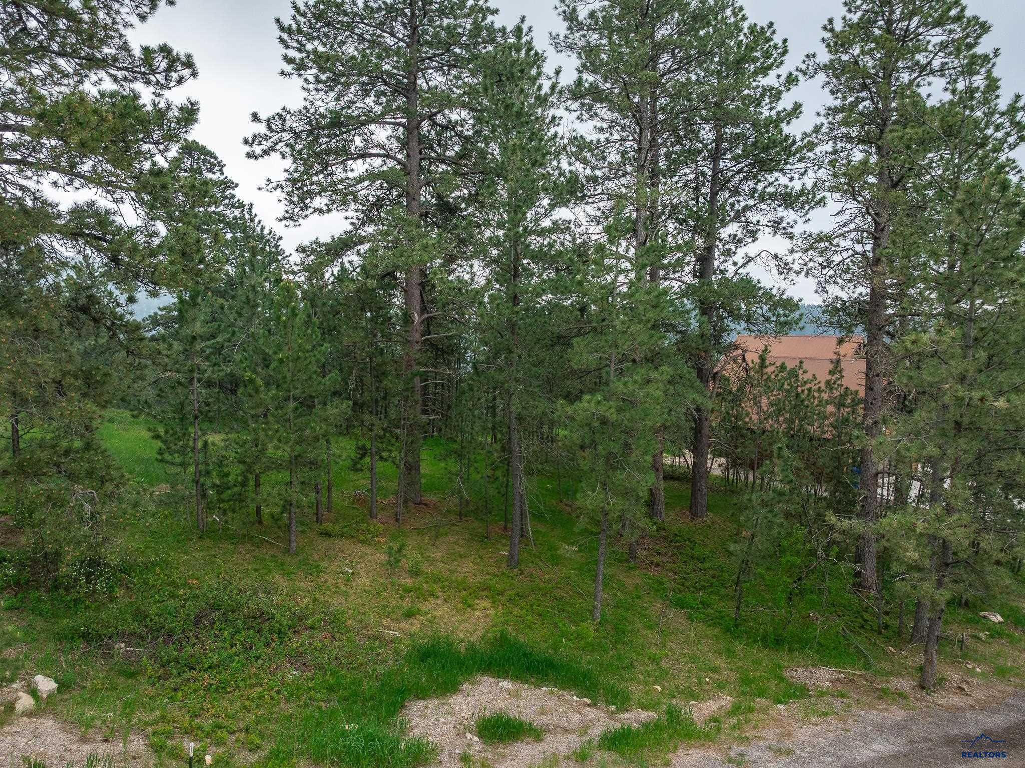 21220 LAST CHANCE TRAIL