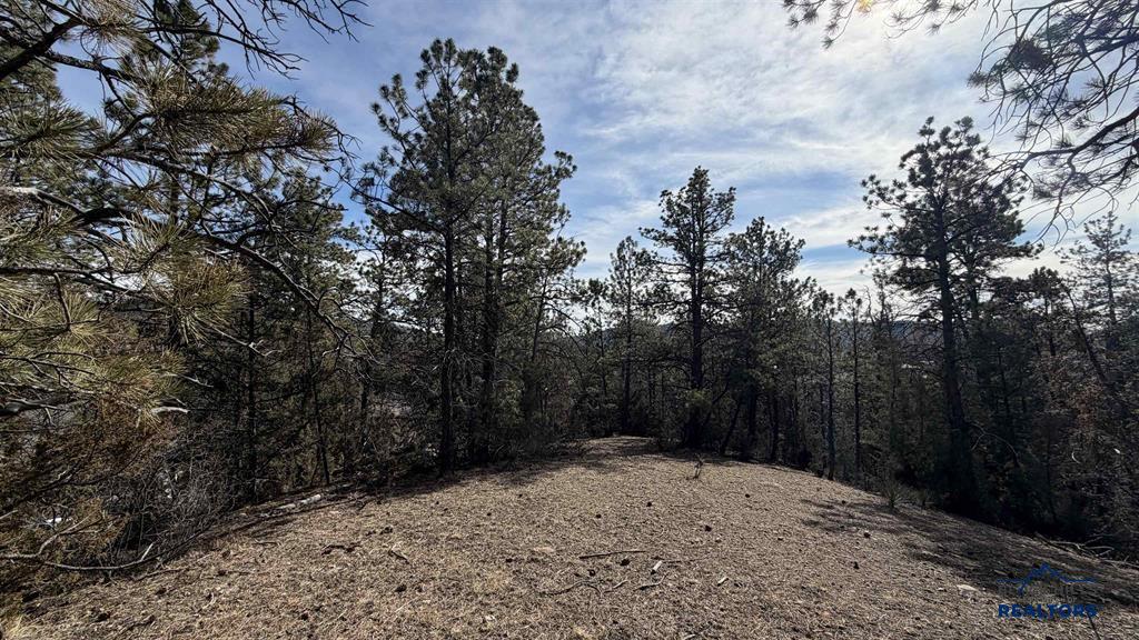 Lot 4R DORAN RD