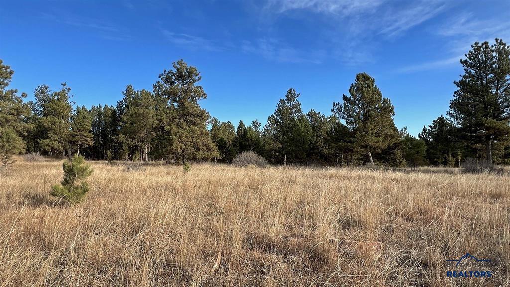 Lot 8 ARGYLE RD