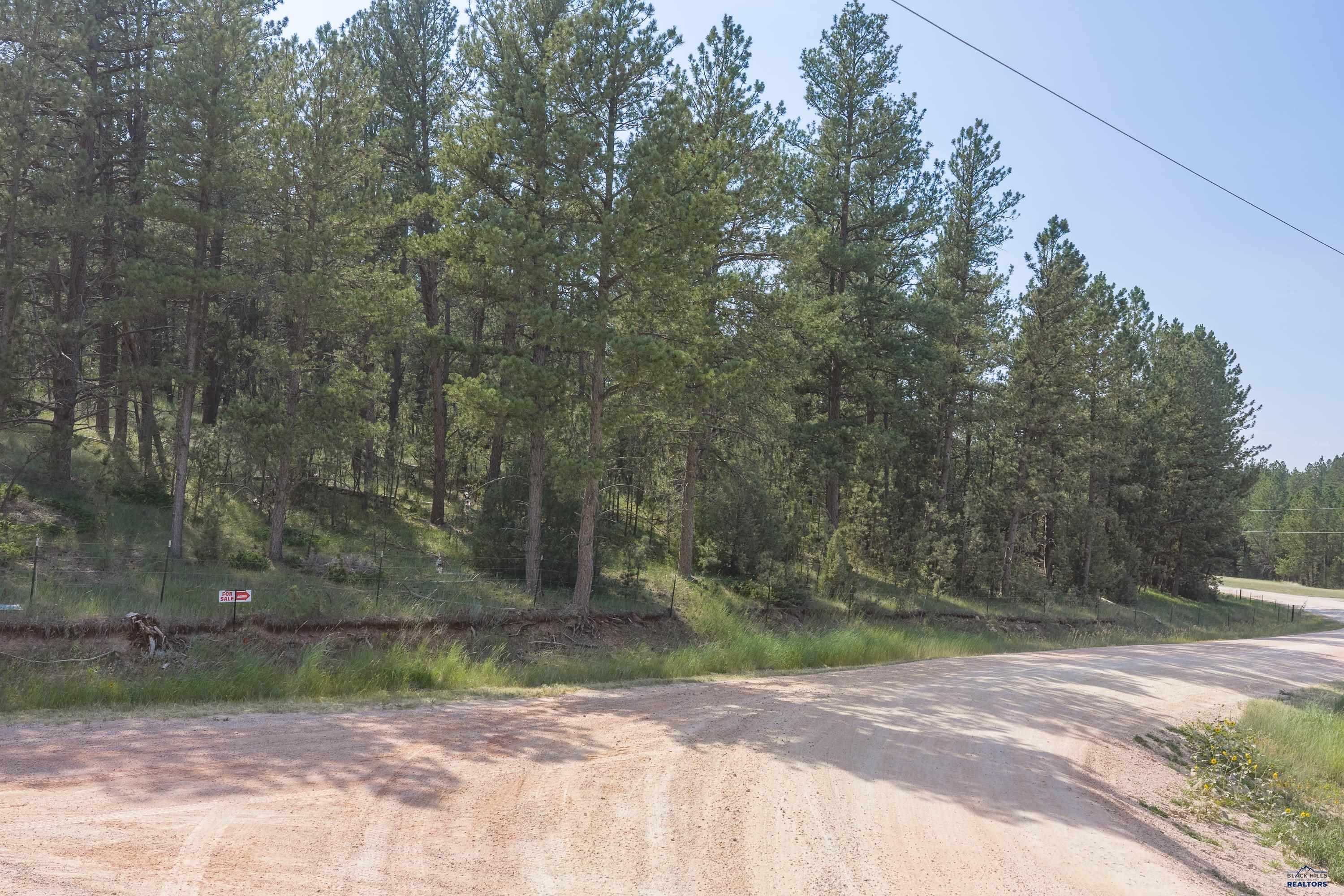 Tract 34 MOUNTAIN LION LN