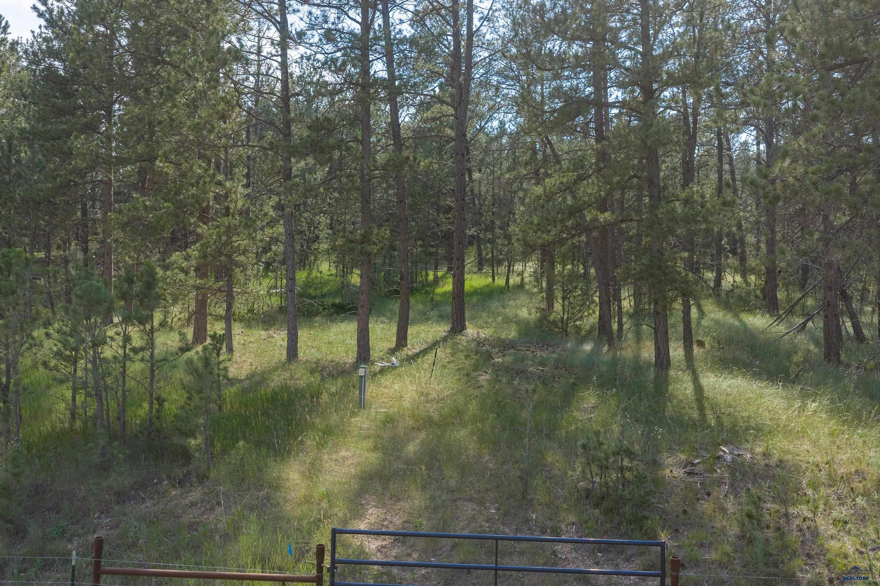 Tract 34 MOUNTAIN LION LN