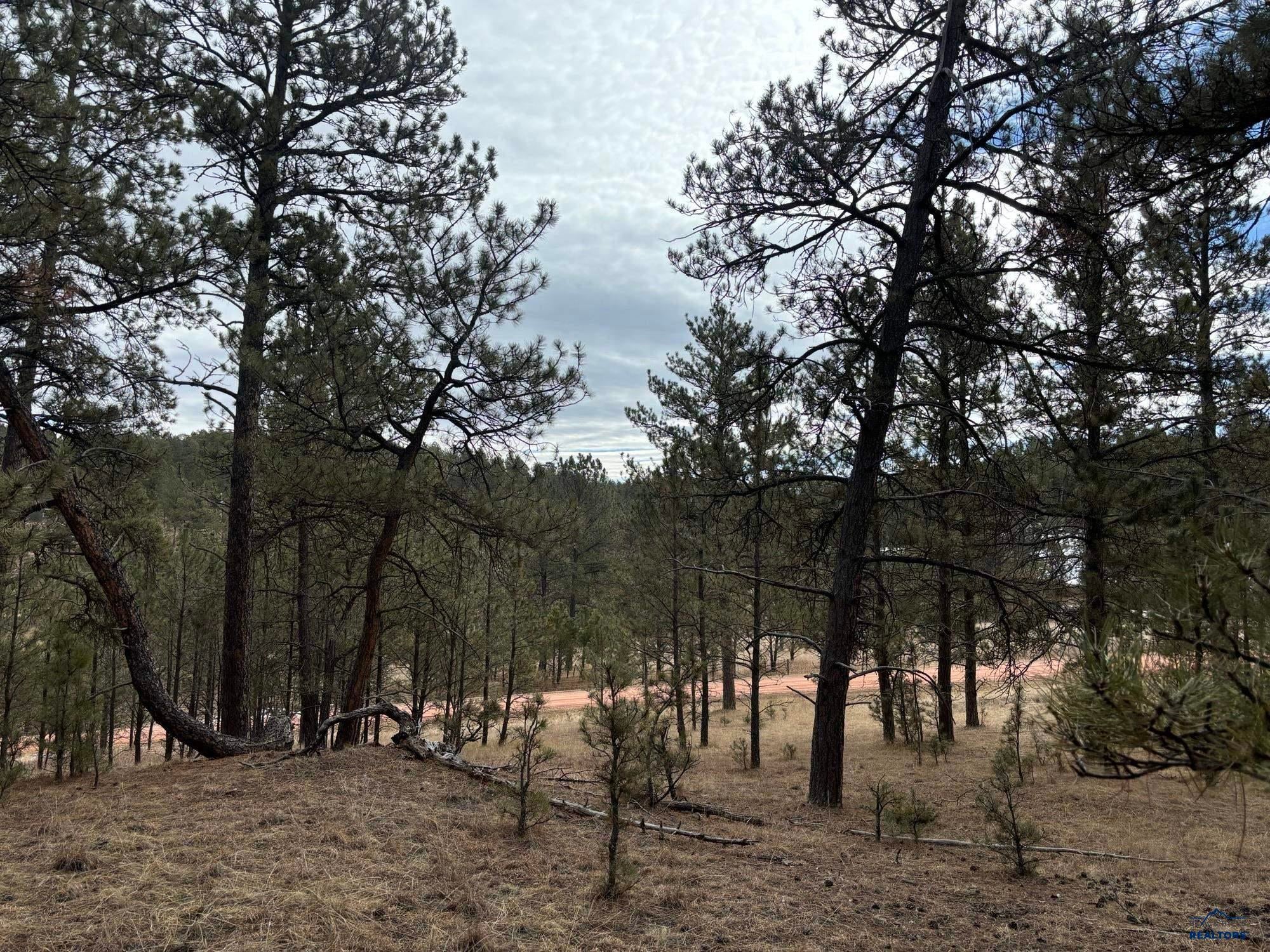 Tract 34 MOUNTAIN LION LN