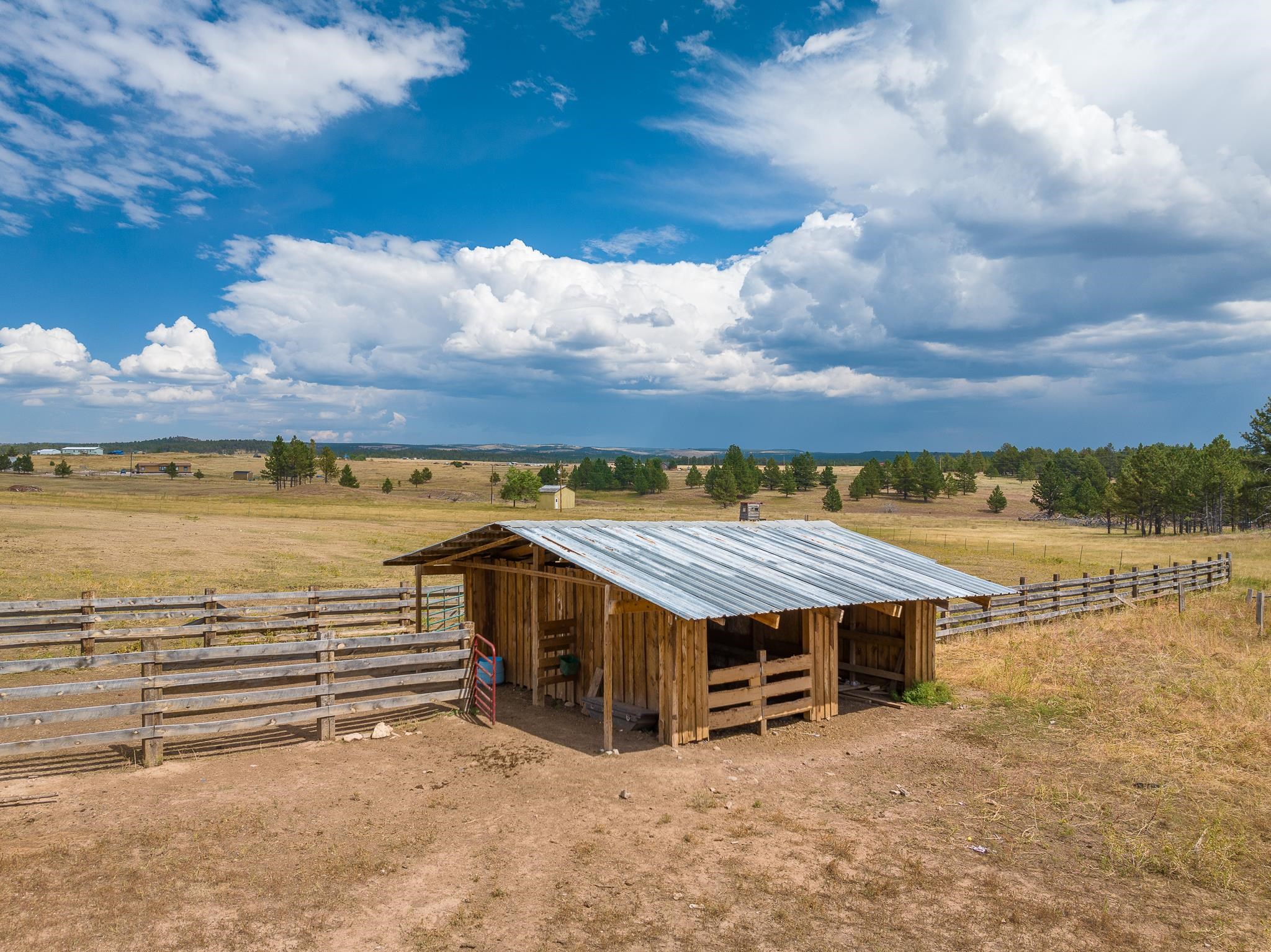 25556 Harriett Ward Road