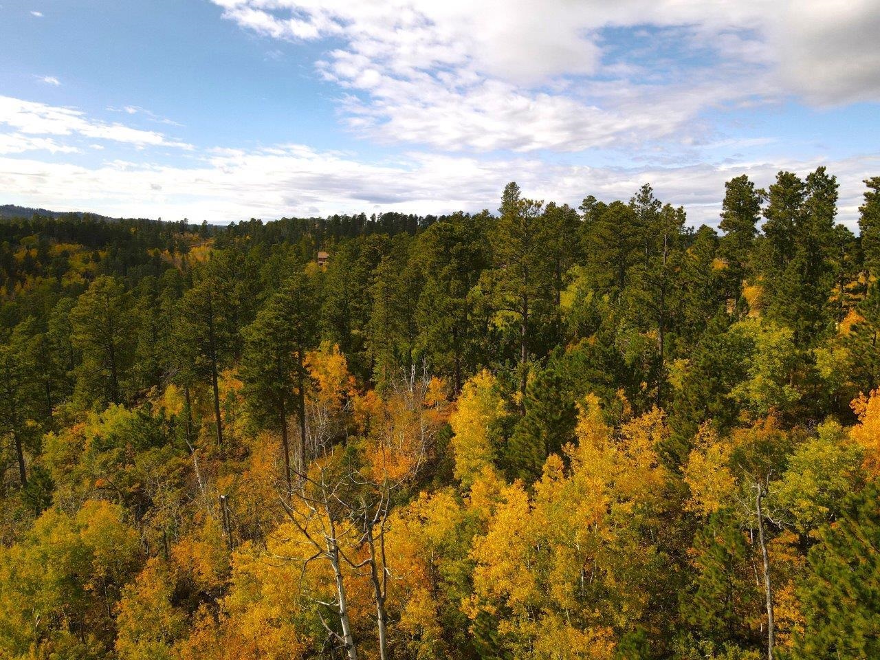 TBD Morning Star Road