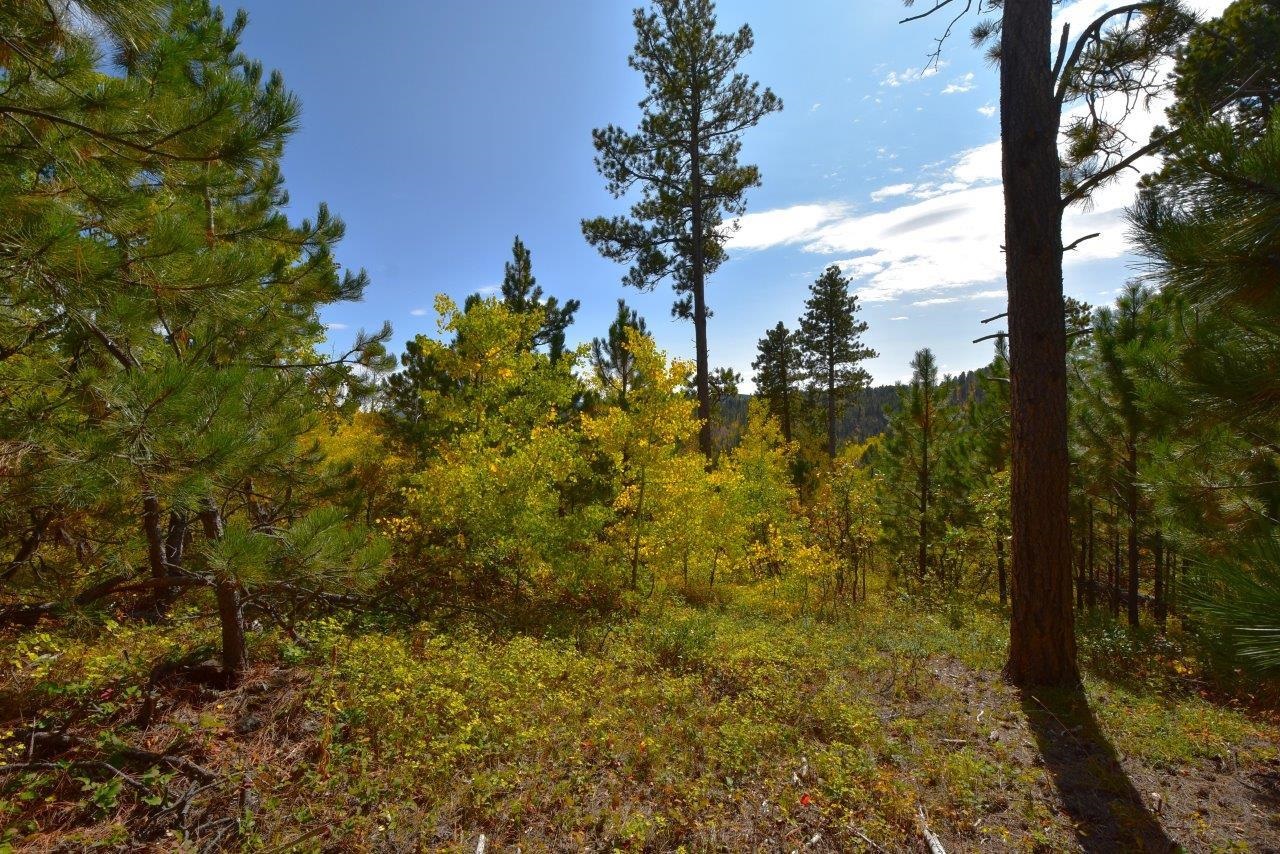 TBD Morning Star Road